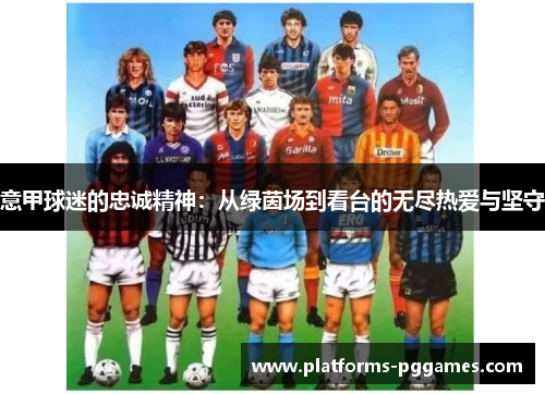 意甲球迷的忠诚精神：从绿茵场到看台的无尽热爱与坚守