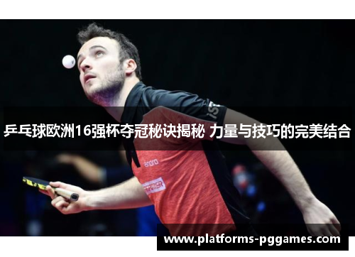 乒乓球欧洲16强杯夺冠秘诀揭秘 力量与技巧的完美结合