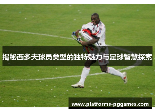 揭秘西多夫球员类型的独特魅力与足球智慧探索