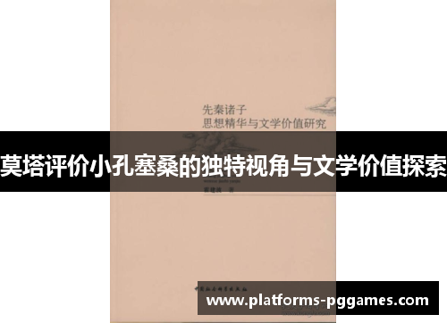 莫塔评价小孔塞桑的独特视角与文学价值探索