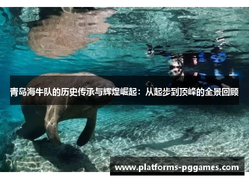 青岛海牛队的历史传承与辉煌崛起：从起步到顶峰的全景回顾