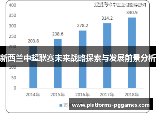 新西兰中超联赛未来战略探索与发展前景分析 新西兰中超联赛未来战略探索与发展前景分析