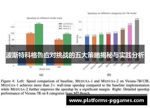 波斯特科格鲁应对挑战的五大策略揭秘与实践分析 波斯特科格鲁应对挑战的五大策略揭秘与实践分析